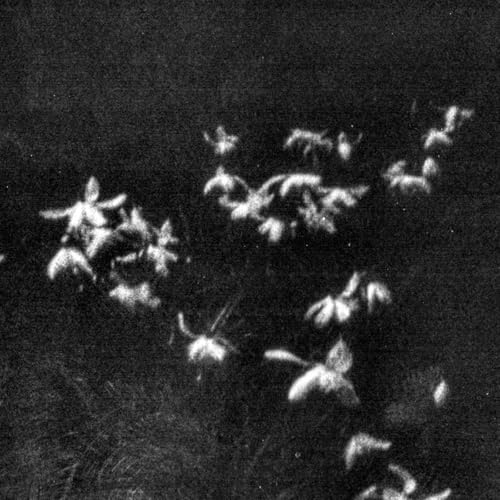 There's beauty in not trying too hard