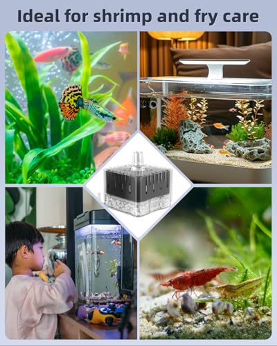 Image of Pawfly Aquarium Sponge Filter for Fish Tanks up to 5-20 Gallons, Small Fish Tank Filter, Sponge Filter with Foam and Air Stone (Air Pump Not Included)