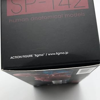 Amazon | FREEing フリーイング figma SP-142 人体模型 | フィギュア