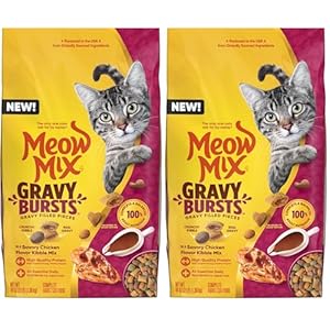 Meow Mix Gravy Bursts Dry Cat Food, Chicken, 3 LB Bag (Pack of 2)
