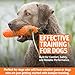 SportDOG Orange Plastic Dummies - Durable Soft Plastic Retriever & Hunting Bumper Training Accessory - Non-Toxic Weatherproof Material - High-Visibility Color