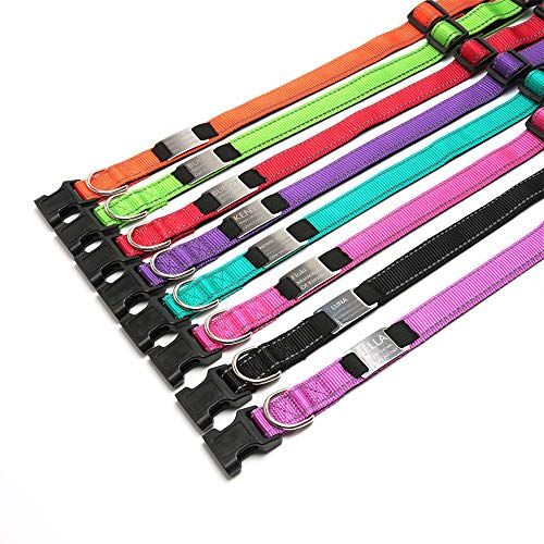 Oncpcare collare per cani con incisione