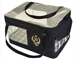 São Pet Bolsa Aerial Para Transporte Aéreo