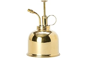 Brass Succulent Mister: Exquisite Accessory for Flourishing Flora