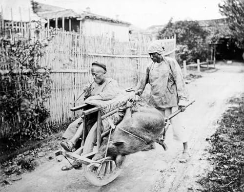Cuadro en lienzo para decorar despachos modernos con fotografía histórica de Shanghai