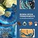 Resina epoxi, Ultra transparente 2-K kg1,6 con B-Super transparente efecto agua para...