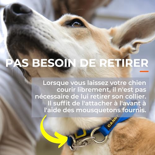 Canny Collar Trainingshalfter | Anti-Zughalsband | einfach zu bedienen | Trainieren Sie Ihren Hund, Nicht an der Leine zu ziehen | bequem, weich, sicher und effektiv