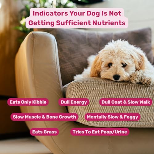 Image of Absolut Pet 12-in-1 Multivitamins for Dogs, Chews That Support Bone & Muscle Health with Vitamins A, D, E, K, Biotin and Zinc (90 Chews)