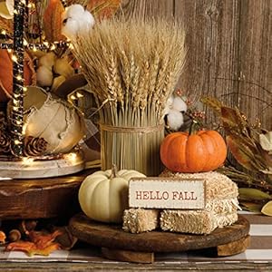 Primitives By Kathy 113677 Hello Fall Block Sign, 4-inch Length Primitives By Kathy 113677 Hello Fall Block Sign 4 inch Length