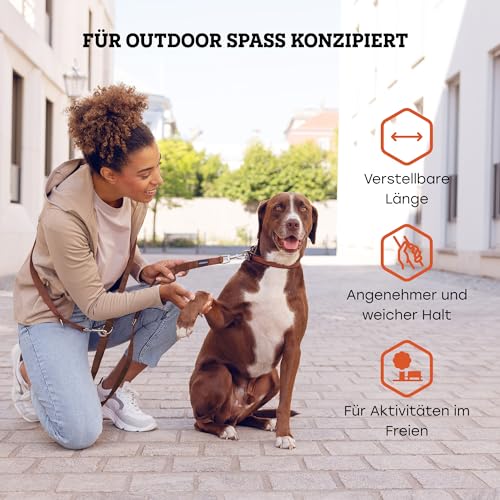 Vitazoo Hundeleine zum Trainieren - 3m - Nylon Graphit Doppelleine für kleine, mittelgroße & große Hunde - verstellbare Leinen bis 4 Verschiedene Längen - Braun
