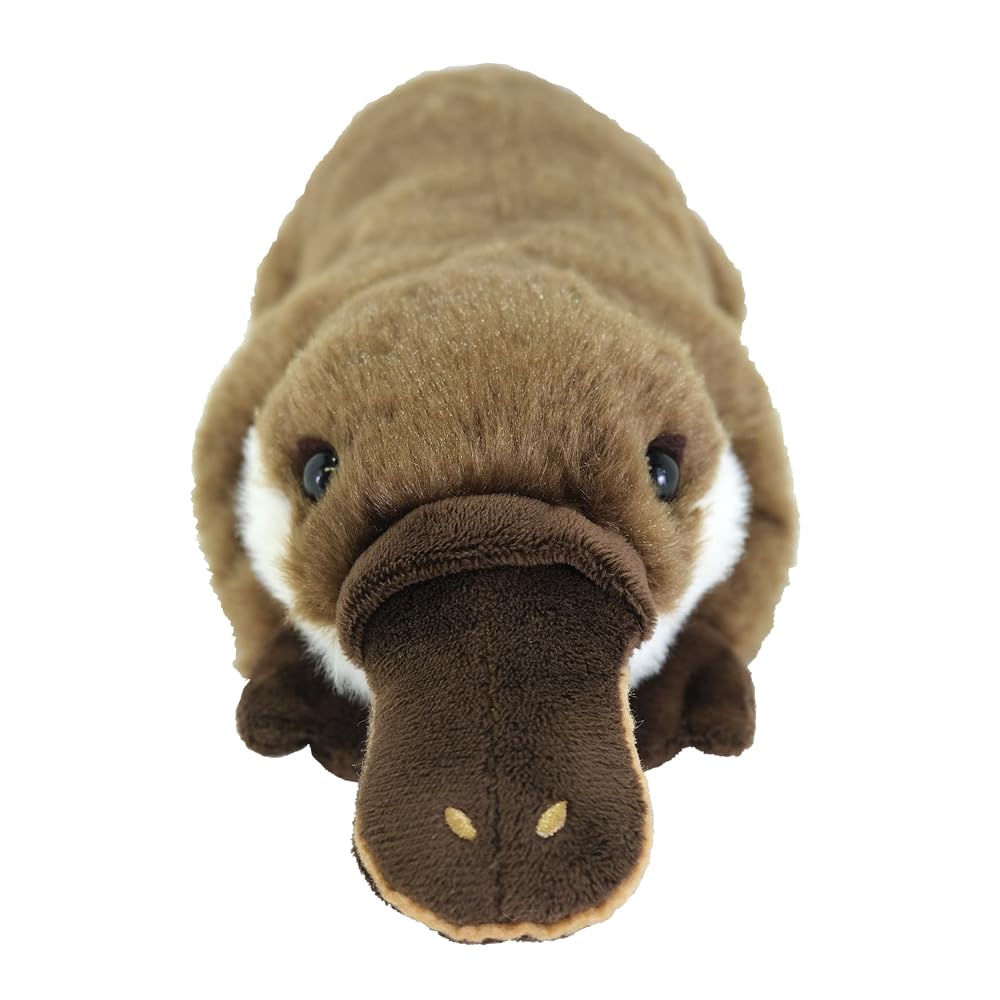 Amazon.co.jp: サンレモン フラッフィーズ M カモノハシ 13×37×9.5cm
