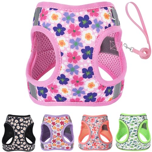 XXS Dog Harness and Leash Set Step in Dog Harness No Pull for Walking Running Training Puppy Essentials for Dogs Cat Bunny Adjustable Reflective Dog Vest Harness. (Pink XXS)