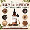 Extracto de Hongo Cola de Pavo para Perros Senior con Lipomas, Bultos en la Piel y Reparación de Tejidos | Para Perros y Gatos, Equilibrio de Inflamación, Protección de Órganos y Antienvejecimiento, Salud Inmunológica, Alivio de Ansiedad, Proceso de Doble Extracción 6