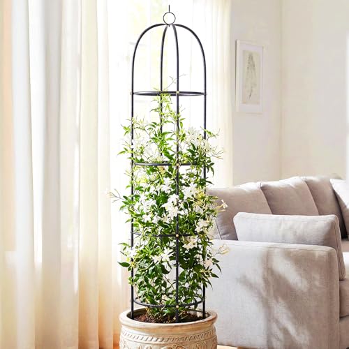 CL FUN Metal Trellis for Climbing Plants Outdoor, 2026 Upgrade 100% Metal with Powder Coating, Rose, Flowers, Grape, Pea, Cucumber Tomato Cage - 6.3 FT Freestanding Plant Support by CL FUN - Image 2