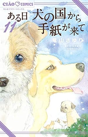 ある日 犬の国から手紙が来て　ほか関連全巻31冊セット本 ある日 犬の国から手紙が来て ほか関連全巻31冊セット