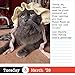 Bad Cat Page-A-Day® Calendar 2026: 365 Not-So-Pretty Kitties