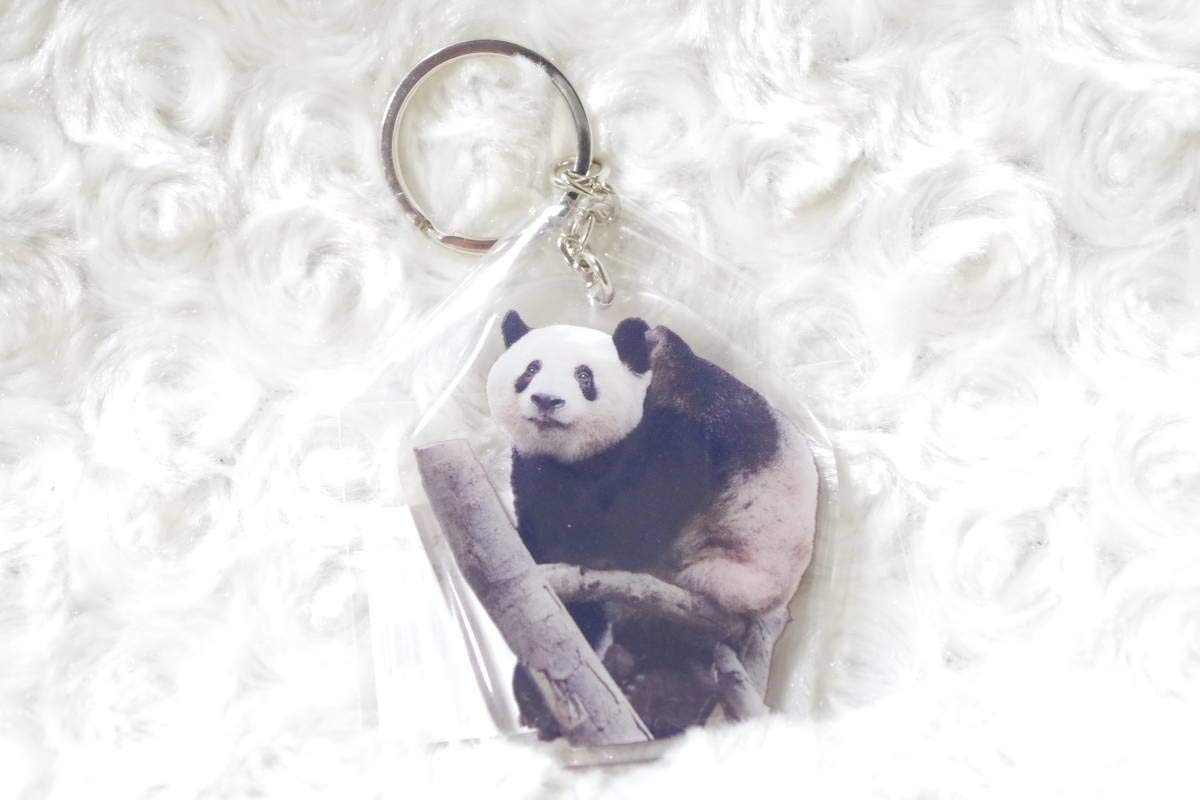 上野動物園 シャンシャン パンダ アクリルキーホルダー フリーカップ