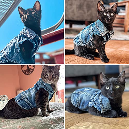 Brocarp Dog Jean Jacket, Blue Denim Lapel Vest Coat T-Shirt Costume Cute Girl Boy Dog Puppy Clothes, Comfort And Cool Apparel, For Small Medium Dogs Cats, Machine Washable Dog Outfits (Xs, Blue) #TOP7