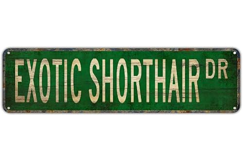 Retro Metal Tin Sign EXOTIC SHORTHAIR DR - Fluffy Cat-Breed