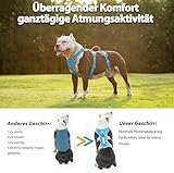 Huntboo Sicherheitsgeschirr Hund Ausbruchsicher, Hunde Geschirr mit Gepolstertem Griff, Reflektierendes, Wasserdicht, Verstellbare Weste für Mittelgroße Hunde, die Spazieren Gehen (Blau, L)