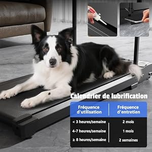 Walking Pad Treadmill for Home Under Desk Caminadora Eléctrica para Casa — photo 4 of 6