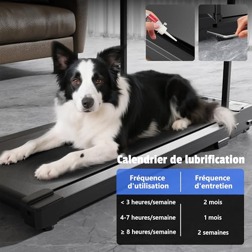 Walking Pad Treadmill for Home,Treadmills Under Desk with Handle Bar Foldable, Portable Caminadora Eléctrica para Casa, Small Mini Compact Exercise Equipment Office Space Running Black Chlorythm - image 4