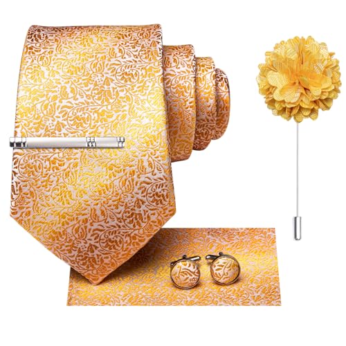 Image of Hi-Tie Mens Paisley Floral Striped Ties Set Silk Necktie and Lapel Pin for Men Pocket Square Cufflinks Set Business Wedding