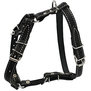 Real Leather Dog Walking Harness Medium Black, 21″ – 26″ Chest