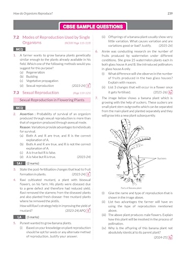 Image of MTG CBSE Class 10 PYQs Book | 10 Years (2026-2017) Chapterwise Topicwise Solved Papers Science - CBSE Champion For 2027 Exam | Free Video Solution of PYQs | CBSE Sample Paper (As Per Pattern)