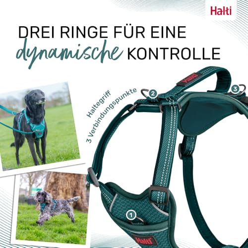 HALTI Anatomy Hundegeschirr mit Griff – Bewegungsfreiheit für deinen Hund. 3 Verbindungspunkte für die Leine, Neoprenpolsterung, verstellbar und reflektierend (Größe S, Blaugrün)