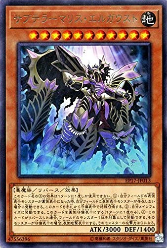 �T�u�e���[�}���X�E�G���K�E�X�g ���A �V�Y�� �G�N�X�g���p�b�N2017 ep17-jp013