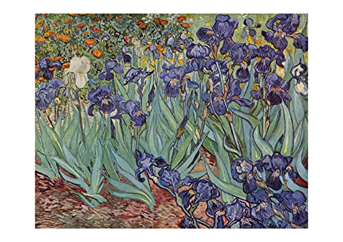 Impression d'art Iris Saint-Remy 1889 de Vincent Van Gogh mat