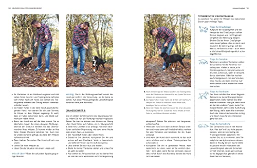 Typgerechtes Welpentraining: Der perfekte Start in die Welpenerziehung – Übungen und Tipps für jeden Welpentyp (GU Welpen)