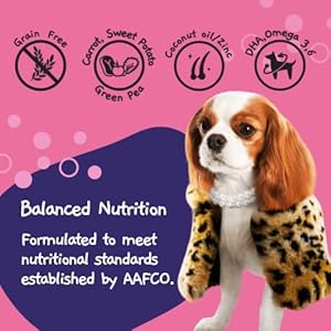 Moochie Grain Free Moist Canine Meals for Small Canines Pores and Skin and Coat Made with Salmon Hen Beef and Greens No Added Preservatives or Manmade Flavoring 12 X 3 Oz Pouch Cucciolini Doodles Moochie grain free moist canine meals for small canines pores and skin and coat made with salmon hen beef and greens no added preservatives or manmade flavoring 12 x 3 oz pouch cucciolini doodles