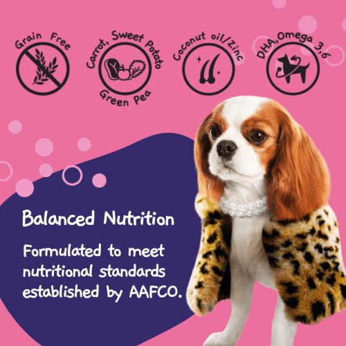 Moochie Grain Free Moist Canine Meals for Small Canines Pores and Skin and Coat Made with Salmon Hen Beef and Greens No Added Preservatives or Manmade Flavoring 12 X 3 Oz Pouch Cucciolini Doodles Moochie grain free moist canine meals for small canines pores and skin and coat made with salmon hen beef and greens no added preservatives or manmade flavoring 12 x 3 oz pouch cucciolini doodles