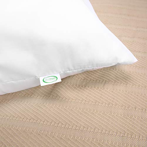 BioPEDIC Clean SofLOFT Fiber 54"x20" Body Pillow Odor and Anti-Stain Ultra-Fresh Treated Fabric, 1 Count (Pack of 1), White