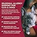 Animal Essentials Seasonal Allergy Treatment for Dogs - Liquid Herbal Support for Dogs & Cats, Wellness Supplement for Sensitive Skin & Seasonal Comfort, Licorice Tincture, 100% Organic - 1 fl oz