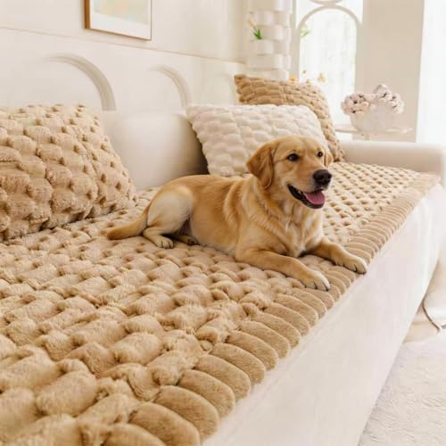 Pet Couch Cover for Dogs Washable Pet-Friendly Dog Sofa Protector for Furniture Boho Pets Mat for Couches and Sofas