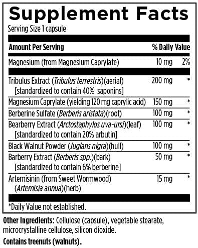 Designs for Health GI Microb-X - Botanical Gut Support, Cleanse + Detox Supplement with Tribulus, Berberine + Barberry Extract - Vegetarian + Non-GMO (60 Capsules)