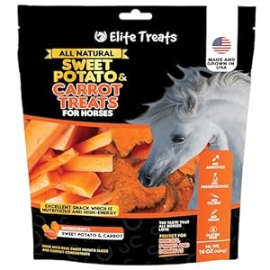 Horse Treats – Sweet Potato & Carrot 16 oz. | All Natural, Dehydrated Treat | Made in The USA for Horses, Ponies, Donkeys | Made with Real Sweet Potato Slices and Carrot Concentrate -16 oz