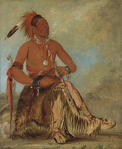 Tableau toile affiches d'art George Catlin peinture décorative sur toile murale 60x90cm