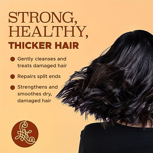 Image of LUSETA Turmeric Collagen Shampoo for Fuller Looking Hair, 16.9 oz | Fine or Oily Hair Care, Fuller-Looking Volume, Turmeric Collagen Blend, Color-Safe Wash, Sulfate-Free Formula