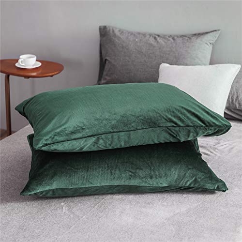 Nayoroom Dark Green Velvet Duvet Cover King Size Emerald Green Crystal Flannel Winter Warm Bedding Set Heavyweight Microfiber Solid Color Reversible Comforter Cover With Zipper Ties Gift For Women Men #TOP6