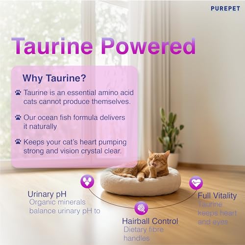Image of Purepet Adult Dry Cat Food 1kg Pack | Real Chicken Flavour | Prevents Hairballs | Supports Cardiac Function | Promotes Skin Wellness | Enriched with Taurine