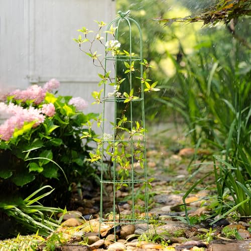Garden Tower - Traliccio a obelisco, robusto supporto per piante rampicanti, verdura, frutta e fiori, cornice decorativa da parete e gabbia per pomodori (verde, 105 cm x 21,5 cm)
