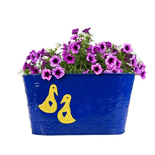 TrustBasket Duck Designer Oval Railing Planter - Blue (B07B4F89MF) Amazon Price History, Amazon Price Tracker