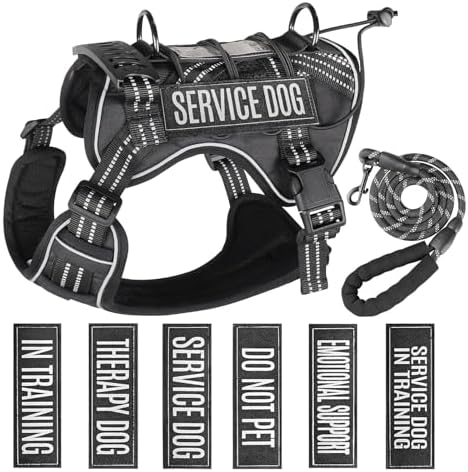 Service Dog Tactical Vest Harness and Leash Set Large Sized Dog E...
