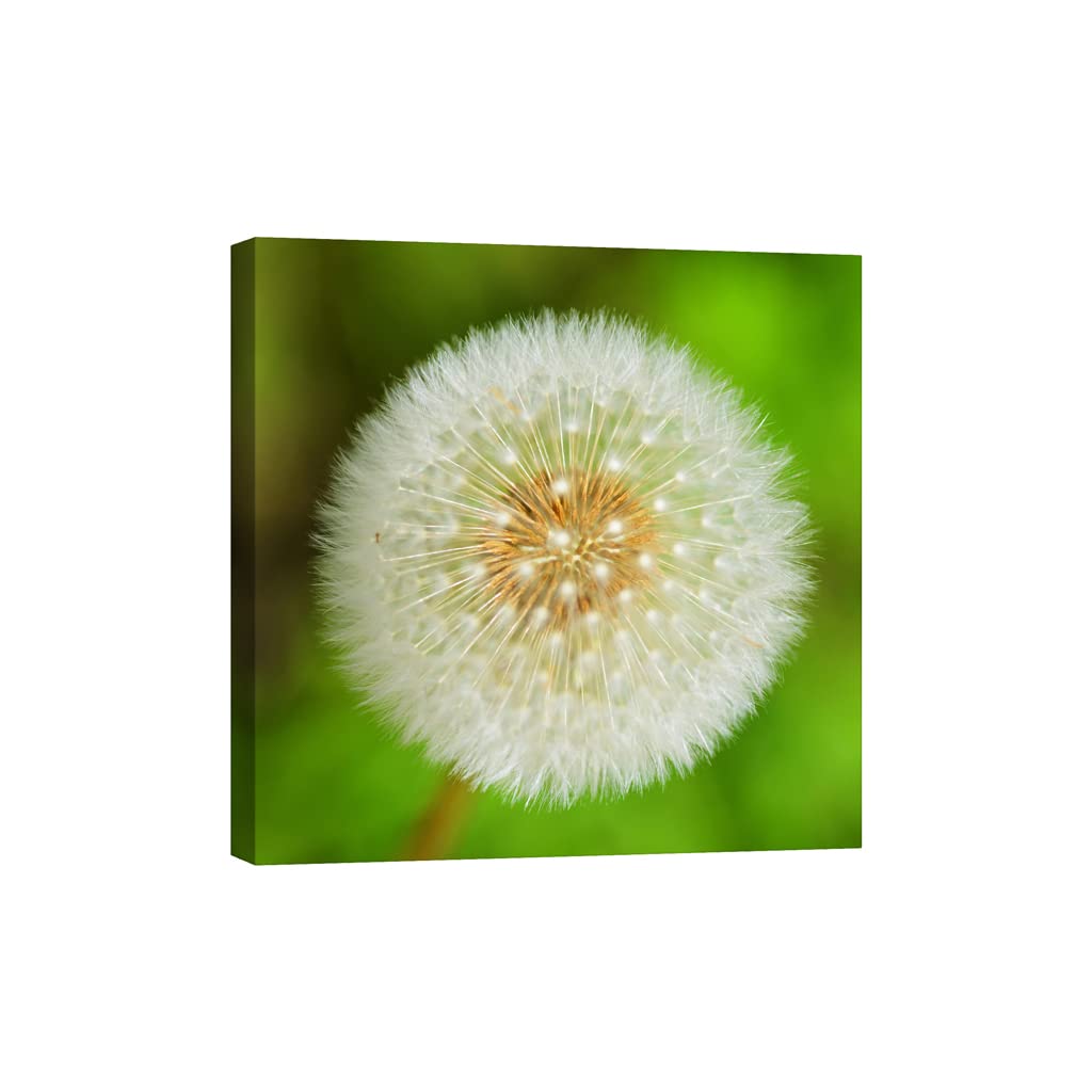 Tableau sur toile fleurs DCF068-1 phosphorescent 80x80cm - 5