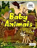  Baby Animals Bonus One Sticker Page: Including Coloring, Mazes, Dot to Dot, Puzzles and More To Relax & Encourage Creativity For Preschool Kids Teenagers