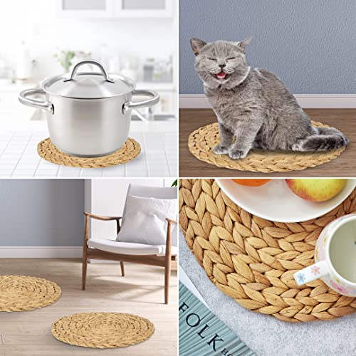 (4 Sizes: 12"-13"-14"-15") Barien Woven Placemats Round Set Of 6, Natural Water Hyacinth Weave Placemat For Dining Table, Large Handmade Woven Placemats Heat Resistant Non-Slip (12" - Set Of 6) #TOP4